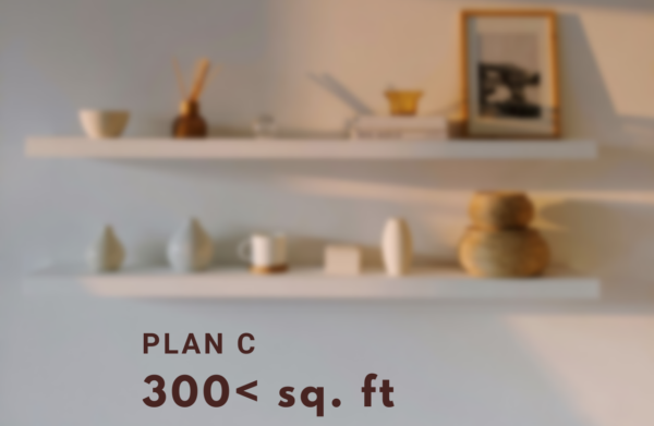 Plan C (300 sq. feet or below)