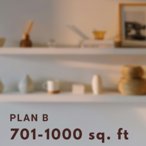 Plan C (701-1000 sq. feet)