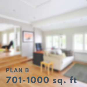 Plan B (701-1000 sq. feet)