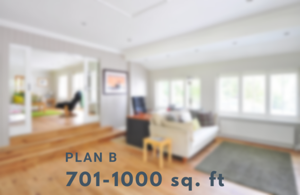 Plan B (701-1000 sq. feet)